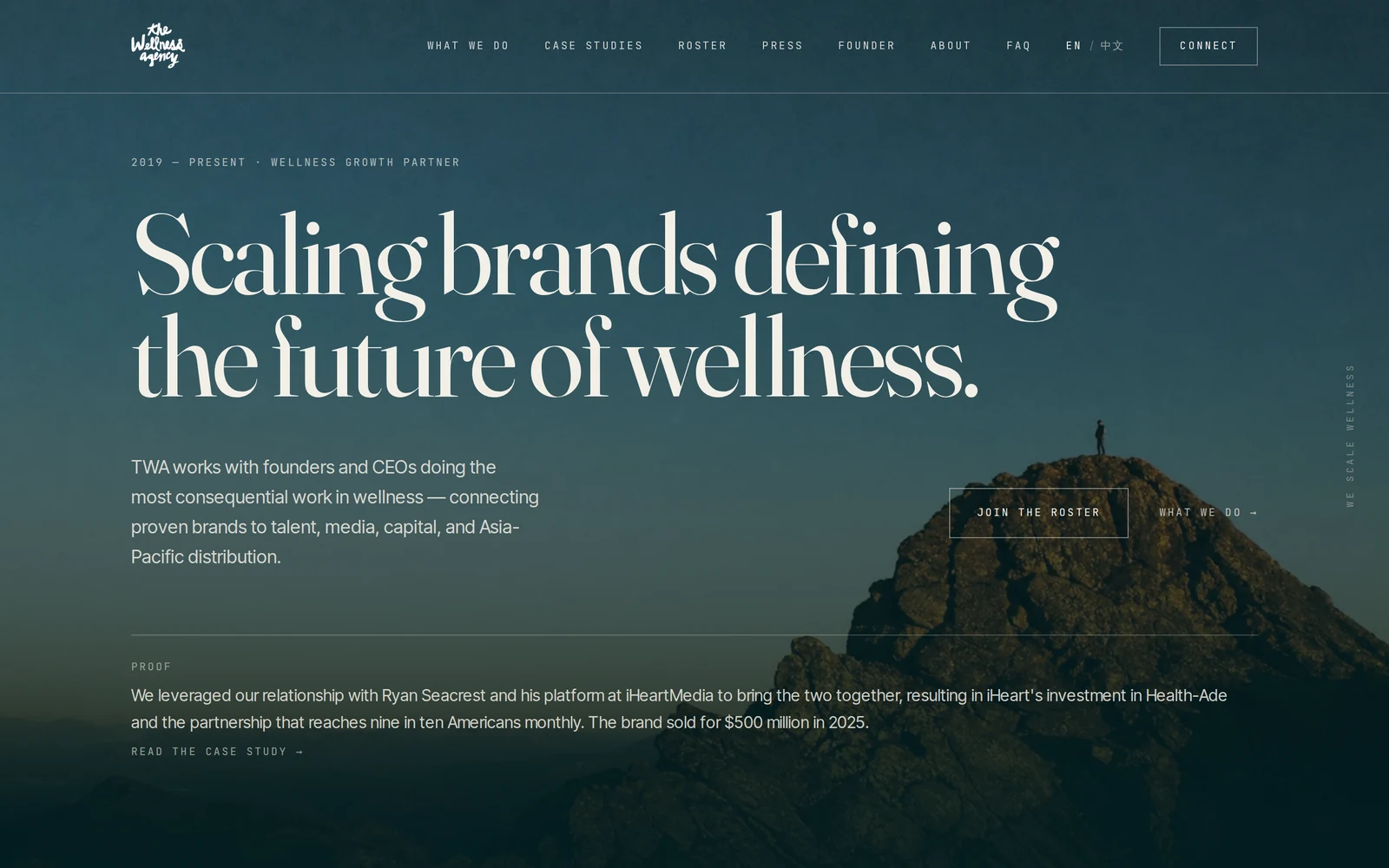 The Wellness Agency homepage, built by AIGNCI Digital: cream serif headline over a deep teal summit photograph